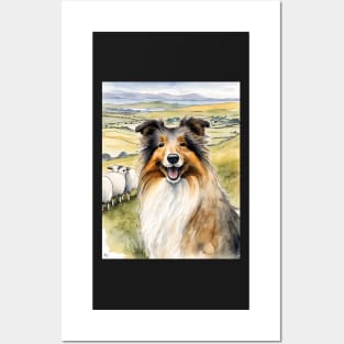 Shetland Sheep Dog Posters and Art